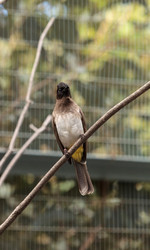 Similar image 13051689