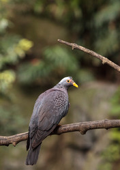 Similar image 13051070