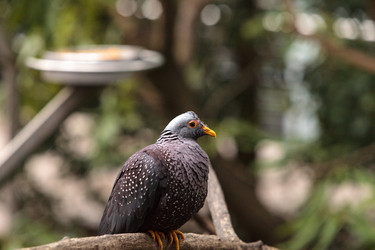 Similar image 13051072