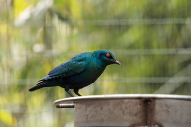 Similar image 13051073