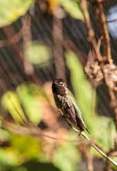 Similar image 13051332