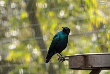 Similar image 13051333