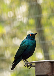 Similar image 13051336