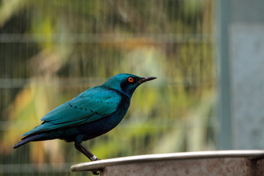 Similar image 13051092