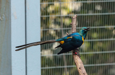 Similar image 13051093