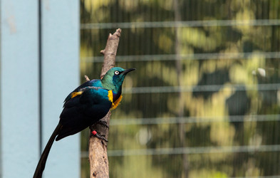 Similar image 13051095