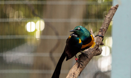 Similar image 13051096