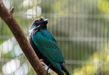 Similar image 13051098