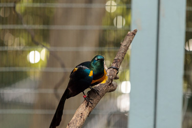 Similar image 13051113