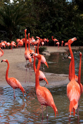 Similar image 13051130