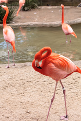 Similar image 13051431