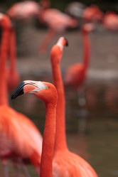 Similar image 13051152