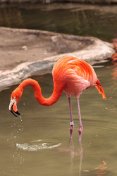 Similar image 13051470