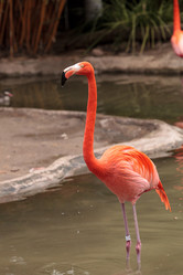 Similar image 13051471