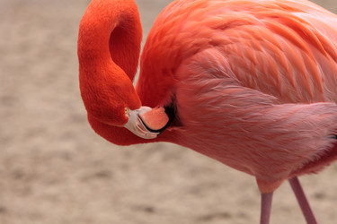 Similar image 13051472