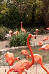 Similar image 13051529