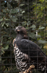 Similar image 13051531