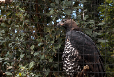 Similar image 13051532