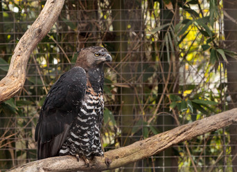 Similar image 13051208