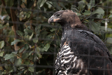 Similar image 13051210