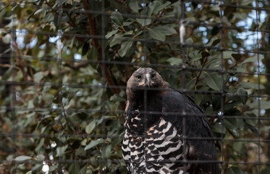 Similar image 13051211