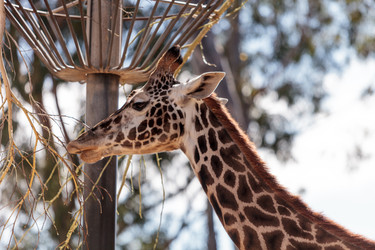 Similar image 13051212