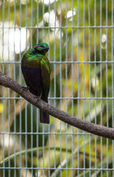 Similar image 13051587