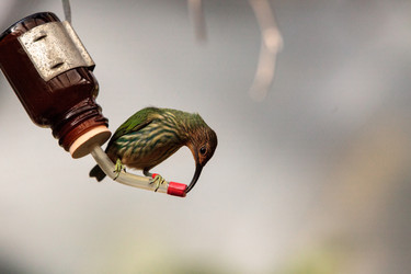 Similar image 13051237