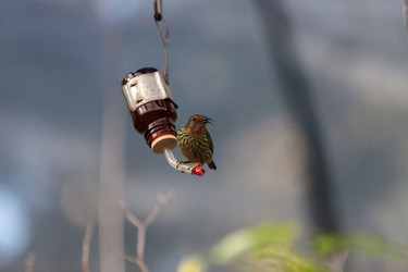 Similar image 13051238