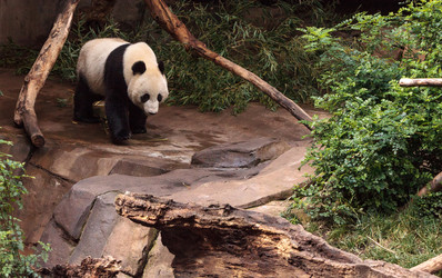 Similar image 13051611