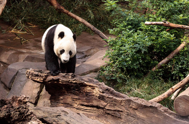 Similar image 13051612