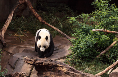 Similar image 13051613