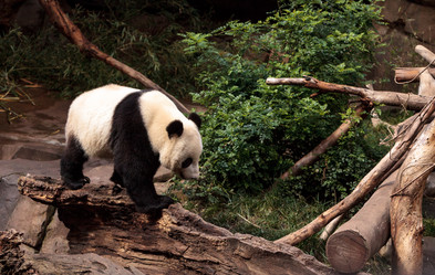 Similar image 13051647