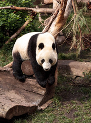 Similar image 13051648