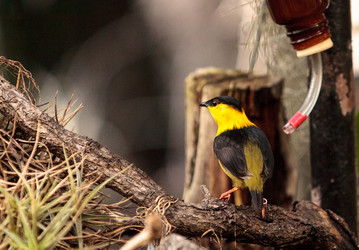 Similar image 13051271