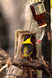 Similar image 13051273