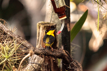 Similar image 13051706