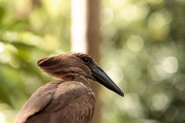 Similar image 13051708