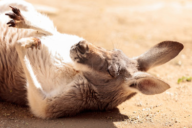 Similar image 13051288