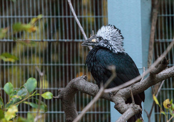 Similar image 13051311