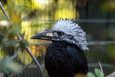 Similar image 13051312