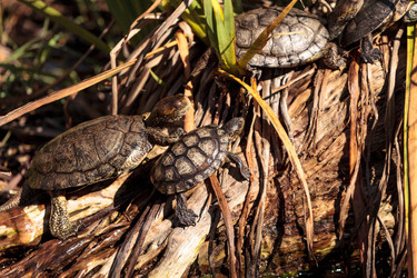 Similar image 13051757