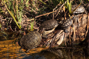 Similar image 13051722