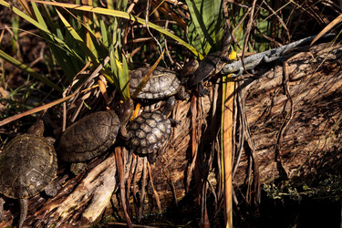 Similar image 13051370