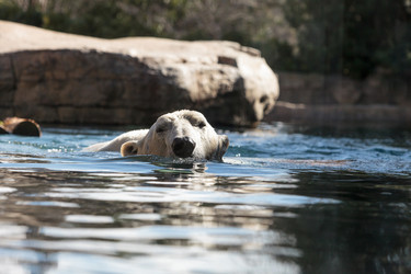 Similar image 13051808