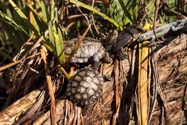 Similar image 13051826