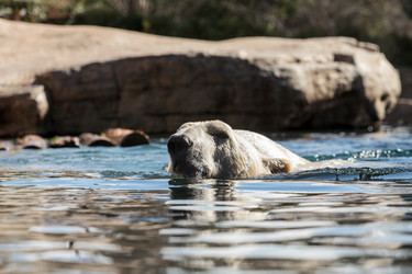 Similar image 13051827