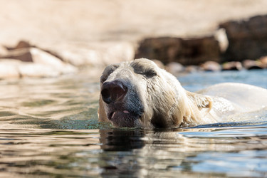 Similar image 13051450