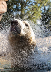 Similar image 13051452