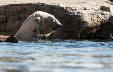 Similar image 13051453